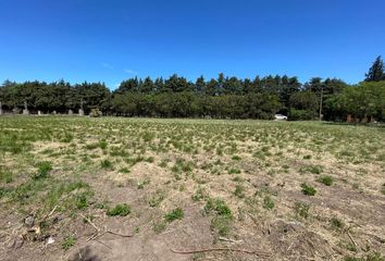 Terrenos en  Ibarlucea, Santa Fe