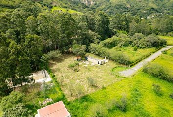 Terreno Comercial en  Vilcabamba (victoria), Loja