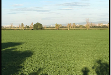 Lote de Terreno en  Ejido La Norita, Apaseo El Grande