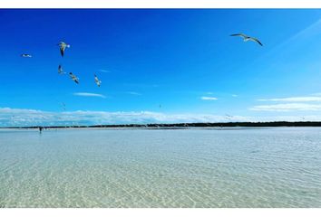 Lote de Terreno en  Isla De Holbox, Lázaro Cárdenas, Quintana Roo