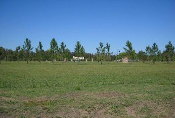 Terrenos en  Los Cardales, Partido De Campana