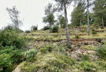 Terreno en  La Bisbal Del Penedes, Tarragona Provincia