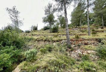 Terreno en  La Bisbal Del Penedes, Tarragona Provincia