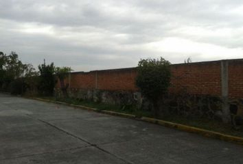Lote de Terreno en  Calle Lindavista, Santa Cruz, Cuautla, Morelos, 62747, Mex