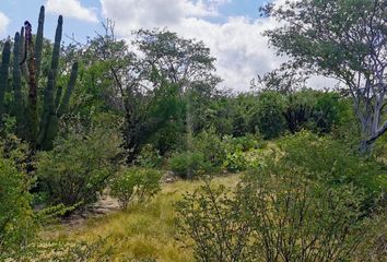 Lote de Terreno en  Los Planes, La Paz