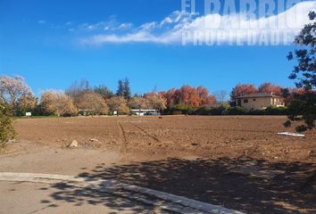 Parcela en  Colina, Chacabuco