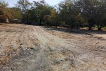 Lote de Terreno en  Avenida Coatetelco 1, Justo Sierra, Mazatepec, Morelos, 62634, Mex