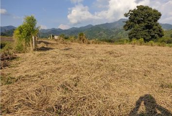 Lote de Terreno en  Centro, Pereira