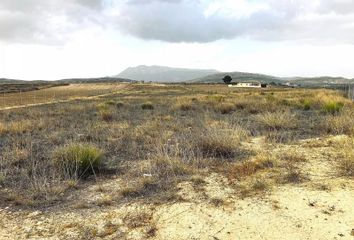 Terreno en  Jumilla, Murcia Provincia