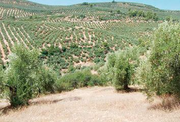 Terreno en  Beas De Segura, Jaén Provincia