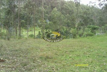 Terreno Comercial en  Ricaurte, Cuenca