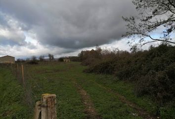 Terreno en  Ciudad Rodrigo, Salamanca Provincia