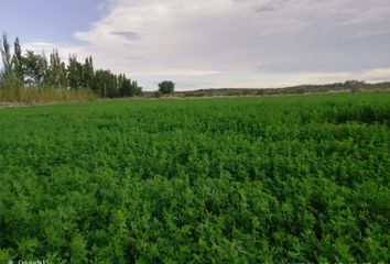 Terrenos en  San Rafael, Mendoza