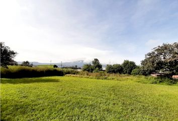 Terreno Comercial en  Tumbaco, Quito