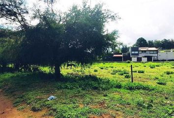 Lote de Terreno en  Valle De Bravo, México, Mex