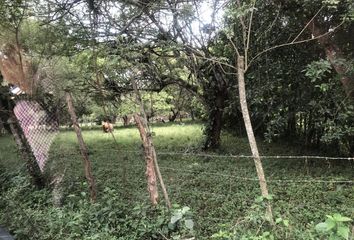 Lote de Terreno en  Las Heliconias De Pance, Pance Cabecera, Cali, Valle Del Cauca, Col