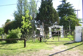 Terrenos en  Ministro Rivadavia, Partido De Almirante Brown