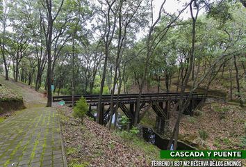 Lote de Terreno en  Reserva De Los Encinos, Teuchitlán