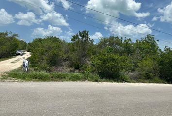 Lote de Terreno en  Celestún, Yucatán