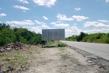 Lote de Terreno en  Chicxulub Pueblo, Yucatán