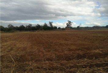 Lote de Terreno en  Colinas De Tonalá, Tonalá, Jalisco