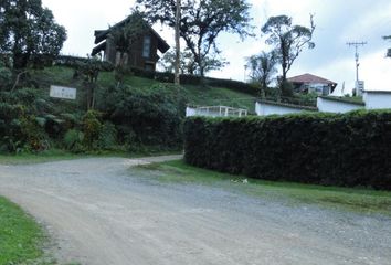 Lote de Terreno en  Los Laureles, Cali, Valle Del Cauca, Col