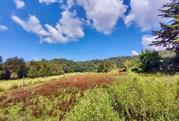 Lote de Terreno en  Valle De Bravo, México, Mex