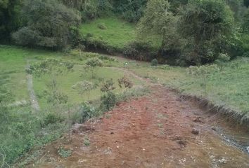 Lote de Terreno en  Plan De La Cruz, Coatepec, Veracruz