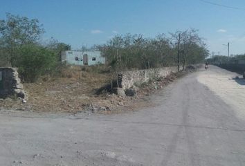 Lote de Terreno en  Pueblo San Ignacio, Progreso, Yucatán