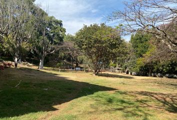 Lote de Terreno en  Bellavista, Cuernavaca, Cuernavaca, Morelos