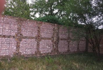 Lote de Terreno en  Calle Licenciado Benito Juárez García, Arboledas, Santa María Del Río, San Luis Potosí, 79560, Mex