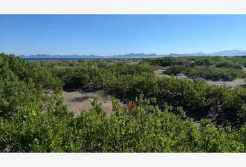 Lote de Terreno en  El Pescadero, La Paz