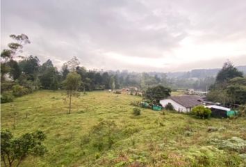 Lote de Terreno en  Guarne, Antioquia