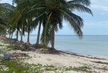 Lote de Terreno en  Dzidzantún, Yucatán