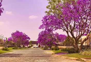 Lote de Terreno en  La Mojonera, Zapopan, Zapopan, Jalisco