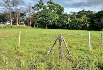 Lotes y Terrenos en  Llano Marín, Penonomé