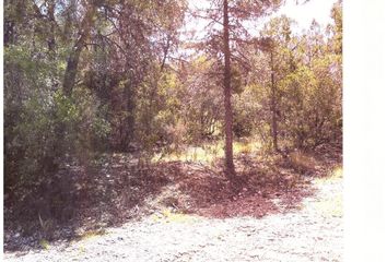 Lote de Terreno en  La Joya, Arteaga, Arteaga, Coahuila