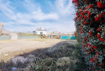 Terrenos en  Luján De Cuyo, Mendoza