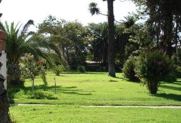 Parcela en  Curacaví, Melipilla