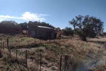 Quinta/Finca en  Cabildo, Partido De Bahía Blanca