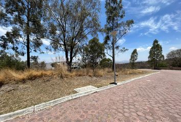 Lote de Terreno en  Calle Álamo, Fracc Residencial Los Álamos, Puebla, 72130, Mex