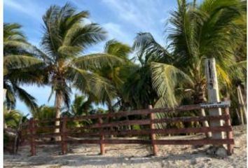 Lote de Terreno en  Hacienda El Cuyo, Tizimín