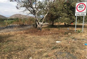 Lote de Terreno en  Pueblo Alpuyeca, Xochitepec, Morelos