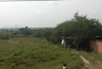 Lote de Terreno en  Miguel Hidalgo, Morelos