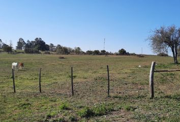 Terrenos en  Victoria, Entre Ríos