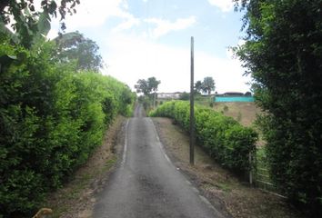 Lote de Terreno en  Los Alamos, Pereira