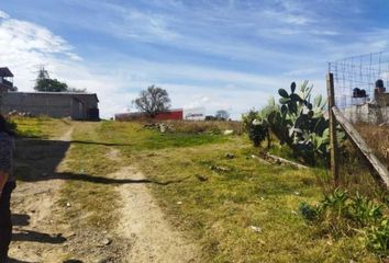 Lote de Terreno en  Paseo Los Encinos, Morelia, Michoacán