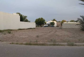 Lote de Terreno en  Las Trojes, Torreón