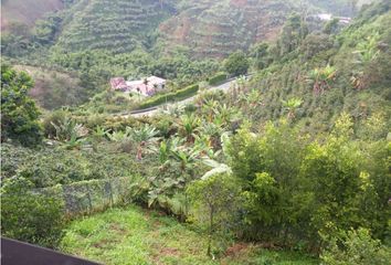 Lote de Terreno en  San Peregrino, Manizales