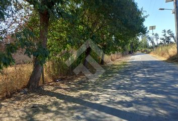 Parcela en  Calera De Tango, Maipo